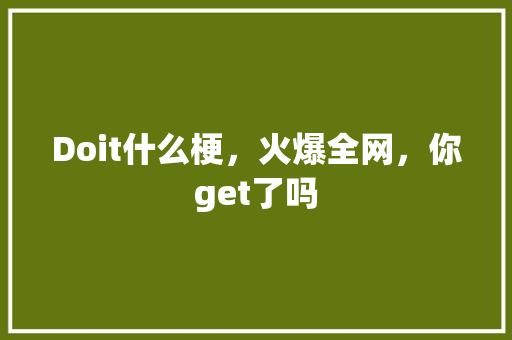 Doit什么梗，火爆全网，你get了吗 搜狗SEO