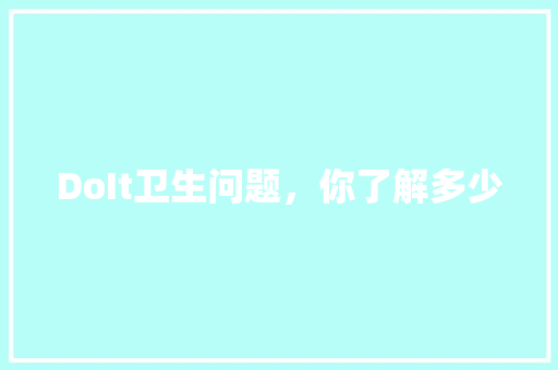 DoIt卫生问题，你了解多少 SEO关键词