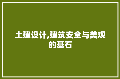 土建设计,建筑安全与美观的基石
