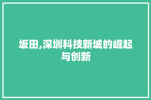 坂田,深圳科技新城的崛起与创新 SEO关键词