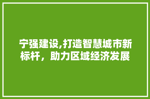 宁强建设,打造智慧城市新标杆，助力区域经济发展 神马SEO