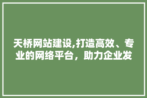 天桥网站建设,打造高效、专业的网络平台，助力企业发展 SEO关键词