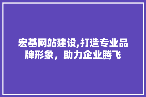 宏基网站建设,打造专业品牌形象，助力企业腾飞 SEO关键词
