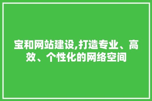 宝和网站建设,打造专业、高效、个性化的网络空间 网站建设公司