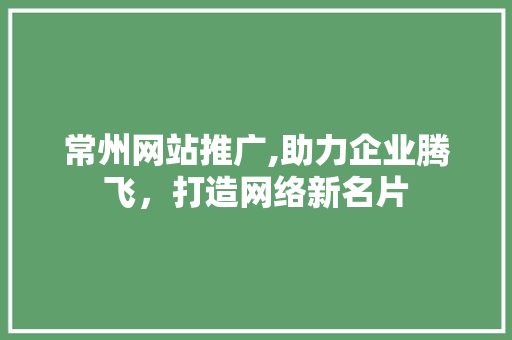 常州网站推广,助力企业腾飞，打造网络新名片 百度SEO