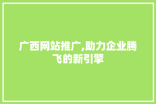 广西网站推广,助力企业腾飞的新引擎 网站建设公司