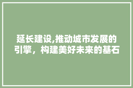 延长建设,推动城市发展的引擎，构建美好未来的基石 网站建设公司
