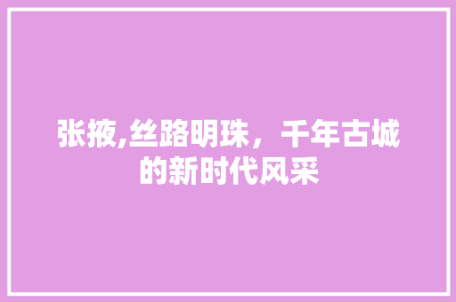 张掖,丝路明珠，千年古城的新时代风采 网站建设公司