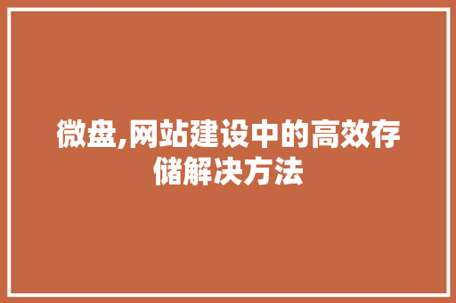 微盘,网站建设中的高效存储解决方法 神马SEO