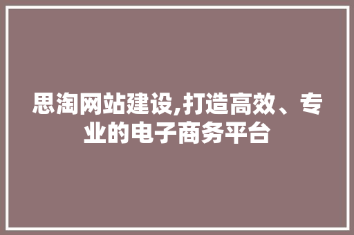 思淘网站建设,打造高效、专业的电子商务平台 网站建设公司
