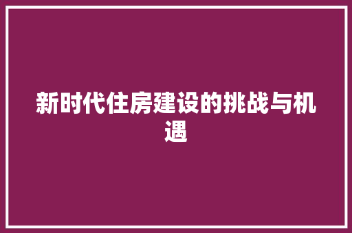 新时代住房建设的挑战与机遇