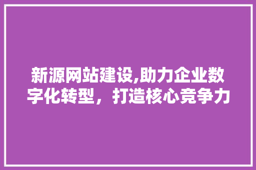 新源网站建设,助力企业数字化转型，打造核心竞争力 神马SEO