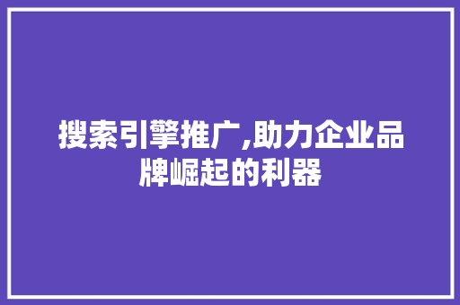 搜索引擎推广,助力企业品牌崛起的利器 SEO关键词