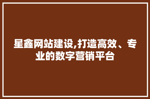 星鑫网站建设,打造高效、专业的数字营销平台 必应SEO