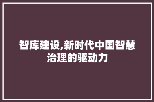 智库建设,新时代中国智慧治理的驱动力 SEO关键词