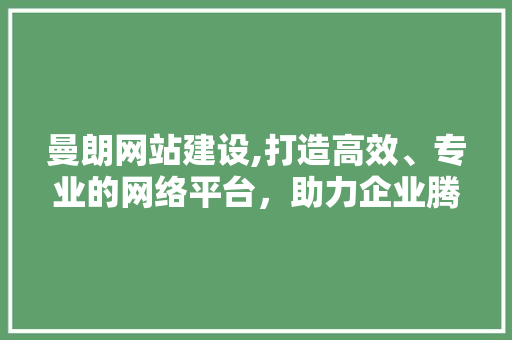 曼朗网站建设,打造高效、专业的网络平台，助力企业腾飞