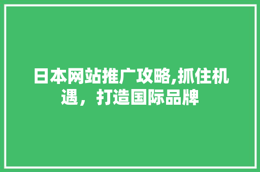 日本网站推广攻略,抓住机遇，打造国际品牌 神马SEO