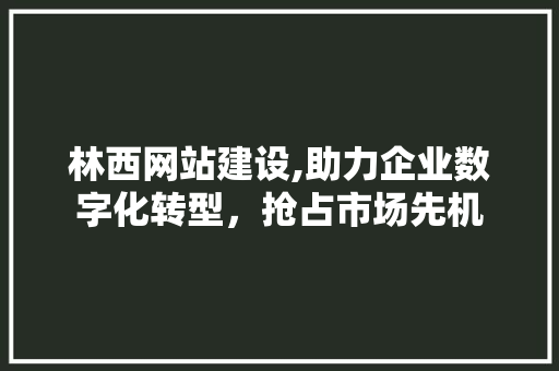 林西网站建设,助力企业数字化转型，抢占市场先机