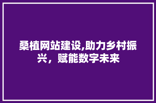 桑植网站建设,助力乡村振兴，赋能数字未来