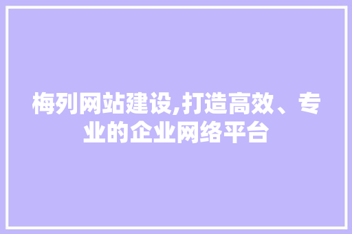 梅列网站建设,打造高效、专业的企业网络平台 神马SEO