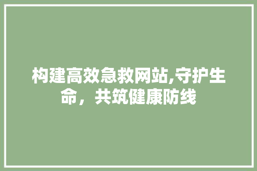 构建高效急救网站,守护生命，共筑健康防线 必应SEO