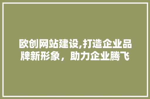 欧创网站建设,打造企业品牌新形象，助力企业腾飞 SEO关键词