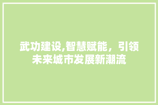 武功建设,智慧赋能，引领未来城市发展新潮流