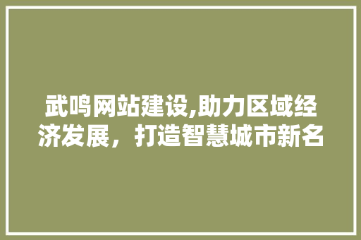 武鸣网站建设,助力区域经济发展，打造智慧城市新名片 网站建设公司