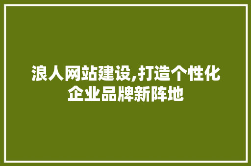 浪人网站建设,打造个性化企业品牌新阵地 网站建设公司