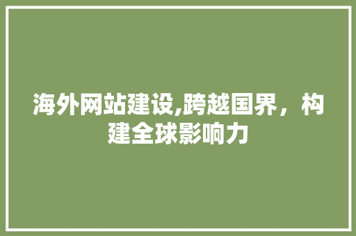 海外网站建设,跨越国界，构建全球影响力 搜狗SEO