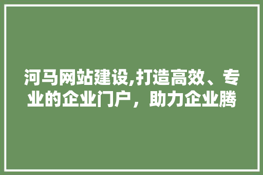 河马网站建设,打造高效、专业的企业门户，助力企业腾飞 百度SEO