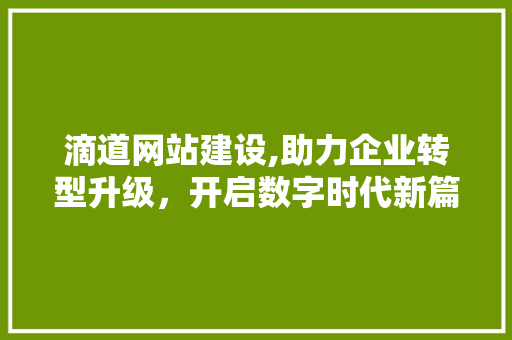 滴道网站建设,助力企业转型升级，开启数字时代新篇章 搜狗SEO