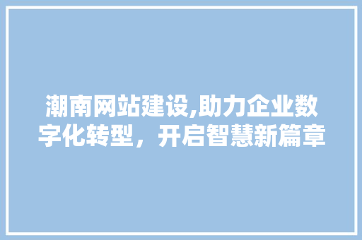潮南网站建设,助力企业数字化转型，开启智慧新篇章 百度SEO