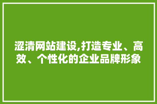 涩清网站建设,打造专业、高效、个性化的企业品牌形象 必应SEO