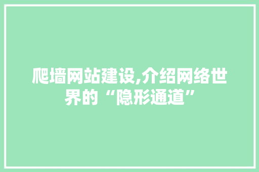 爬墙网站建设,介绍网络世界的“隐形通道” 神马SEO