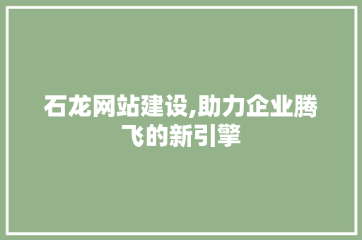 石龙网站建设,助力企业腾飞的新引擎