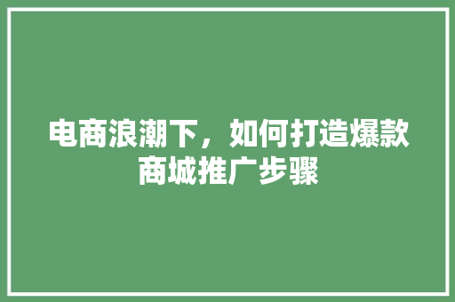 电商浪潮下，如何打造爆款商城推广步骤 SEO关键词