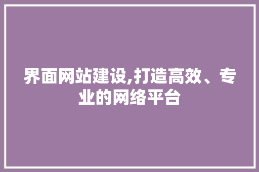 界面网站建设,打造高效、专业的网络平台 神马SEO
