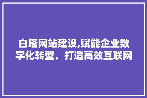 白塔网站建设,赋能企业数字化转型，打造高效互联网平台 百度SEO