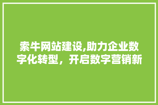 索牛网站建设,助力企业数字化转型，开启数字营销新篇章 网站建设公司