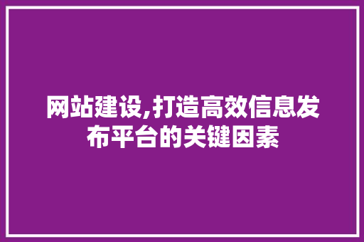 网站建设,打造高效信息发布平台的关键因素 百度SEO