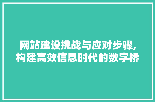 网站建设挑战与应对步骤,构建高效信息时代的数字桥梁 百度SEO