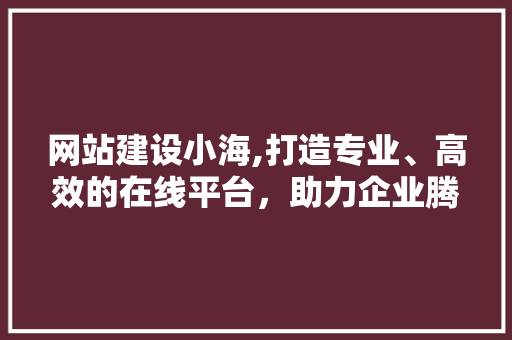 网站建设小海,打造专业、高效的在线平台，助力企业腾飞 百度SEO