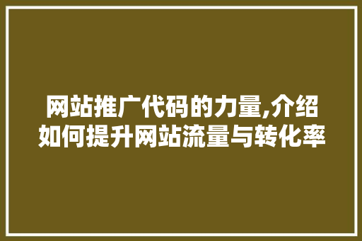 网站推广代码的力量,介绍如何提升网站流量与转化率