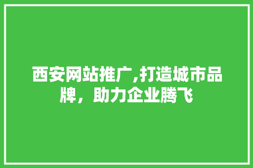 西安网站推广,打造城市品牌，助力企业腾飞 网站建设公司