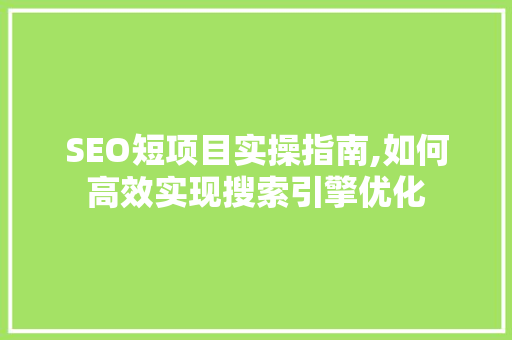 SEO短项目实操指南,如何高效实现搜索引擎优化