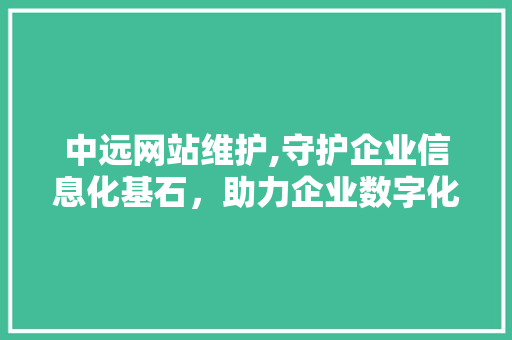 中远网站维护,守护企业信息化基石，助力企业数字化转型 必应SEO