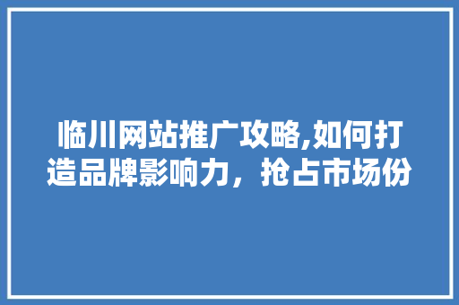 临川网站推广攻略,如何打造品牌影响力，抢占市场份额