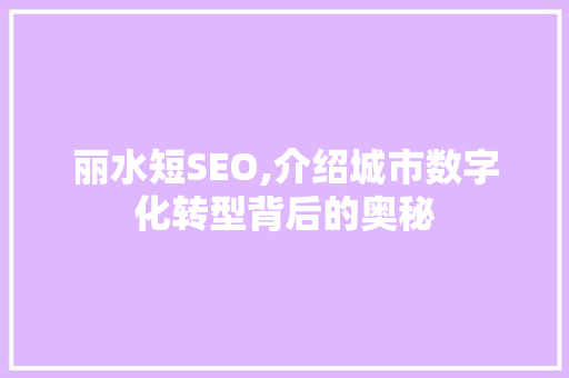 丽水短SEO,介绍城市数字化转型背后的奥秘 网站建设公司