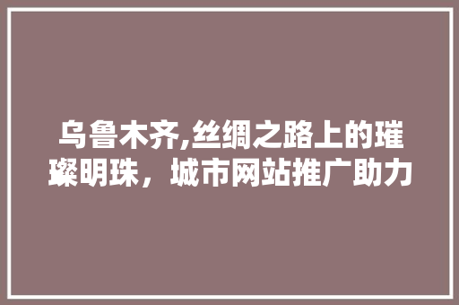 乌鲁木齐,丝绸之路上的璀璨明珠，城市网站推广助力腾飞